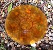 Oyster shell plate in amber.JPG