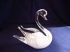 P1020066__swan_granna.jpg