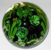 Siddy_Langley__Pond_Life__paperweight_2.jpg